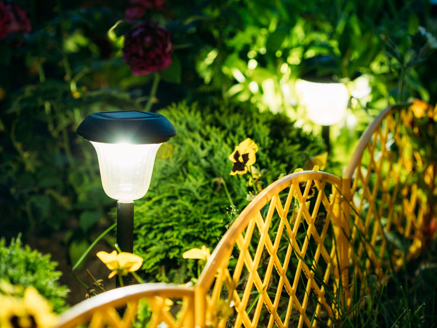 Garden Lighting
