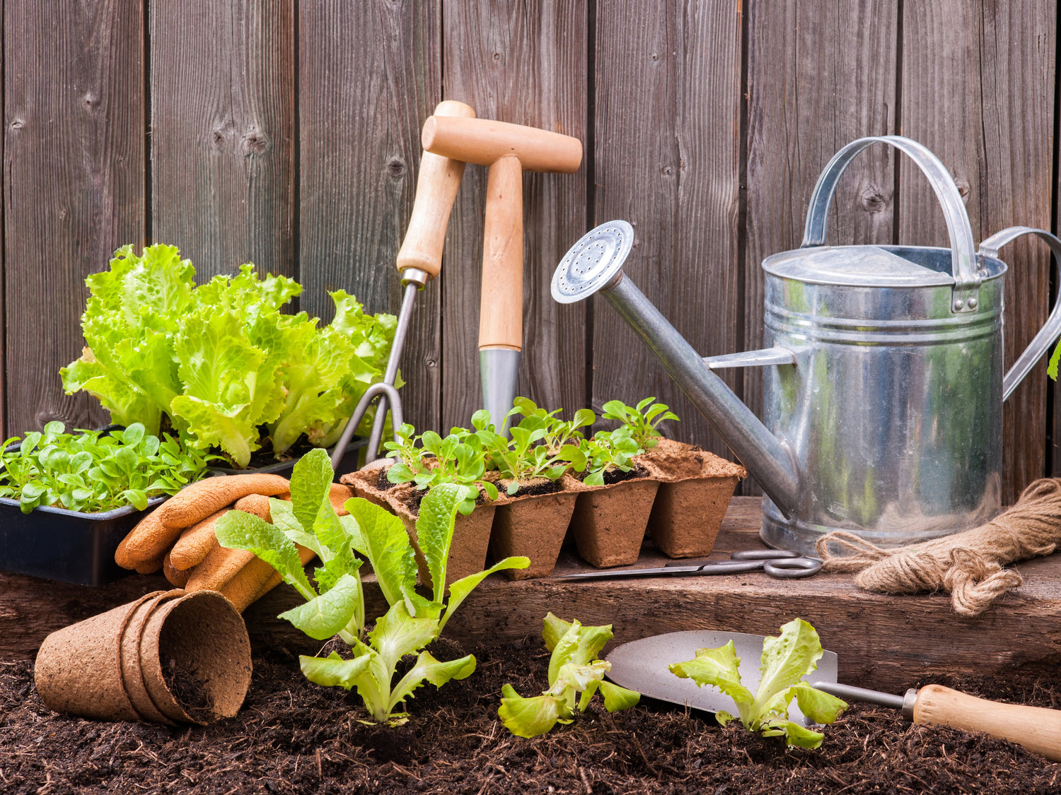 Tools & Planters