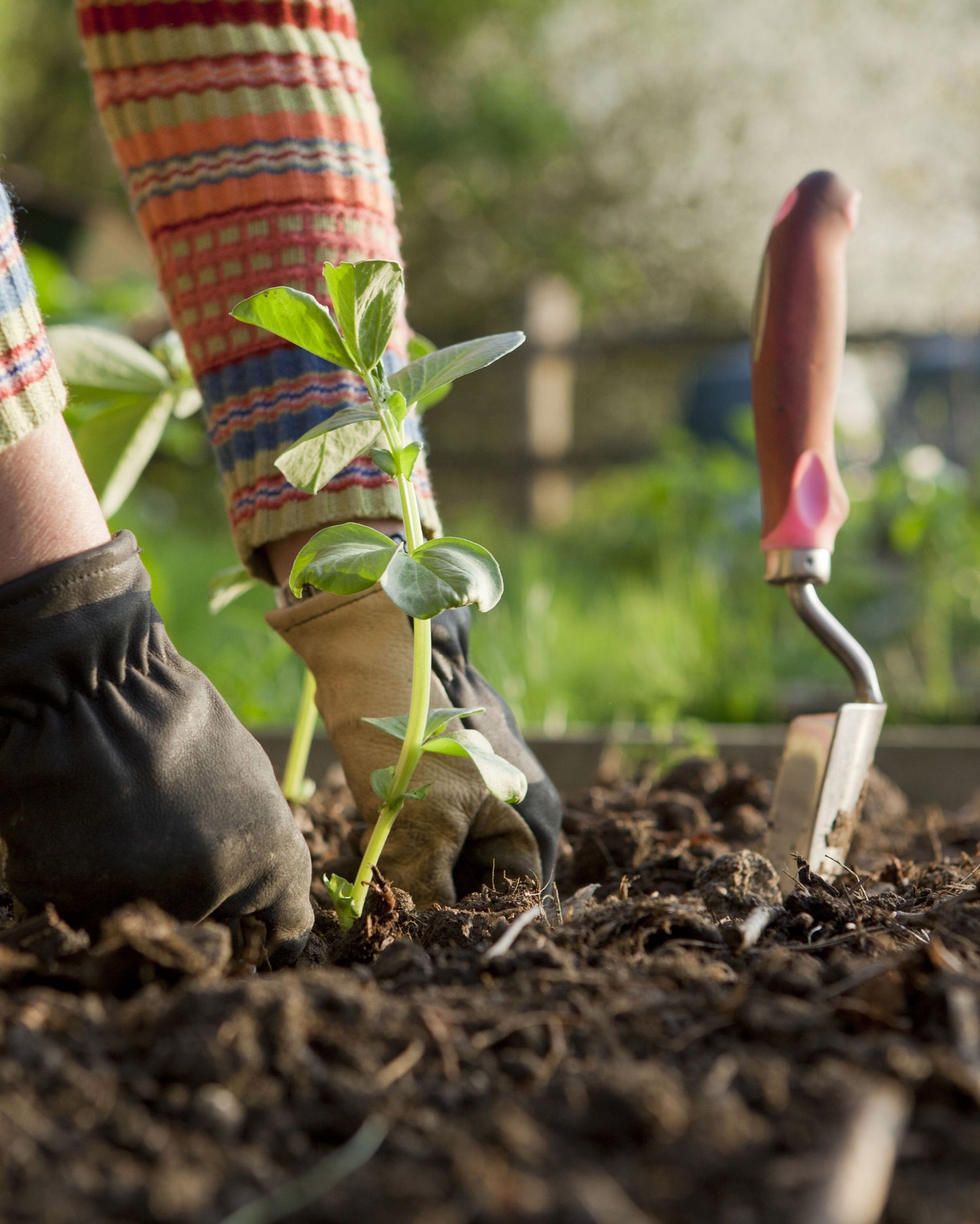 Gardening