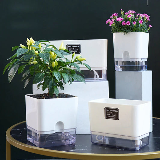 Self Watering Plant Pot