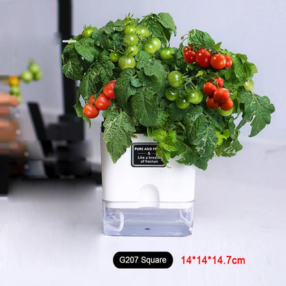 Self Watering Plant Pot
