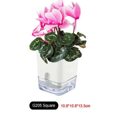 Self Watering Plant Pot
