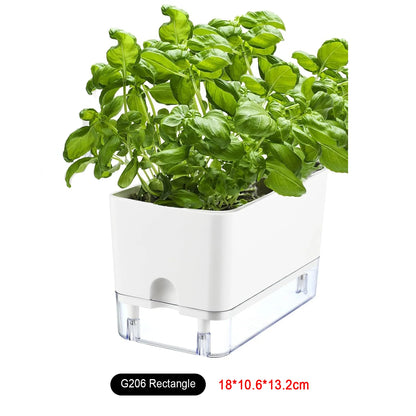Self Watering Plant Pot