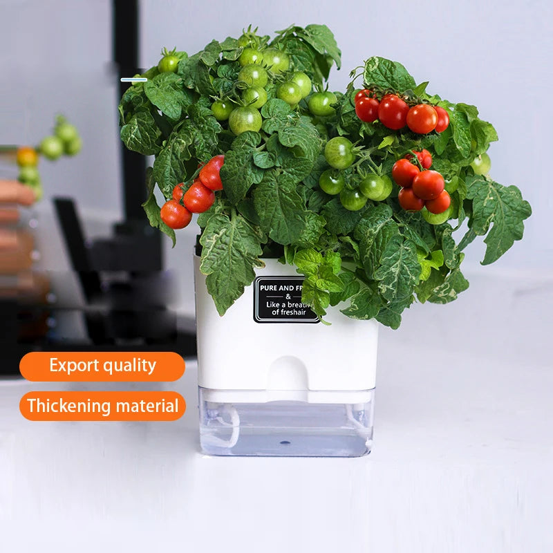 Self Watering Plant Pot