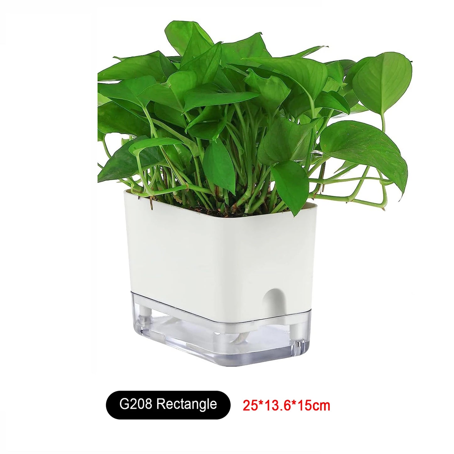 Self Watering Plant Pot