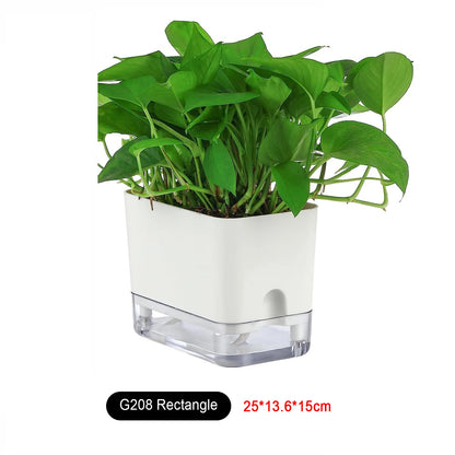 Self Watering Plant Pot
