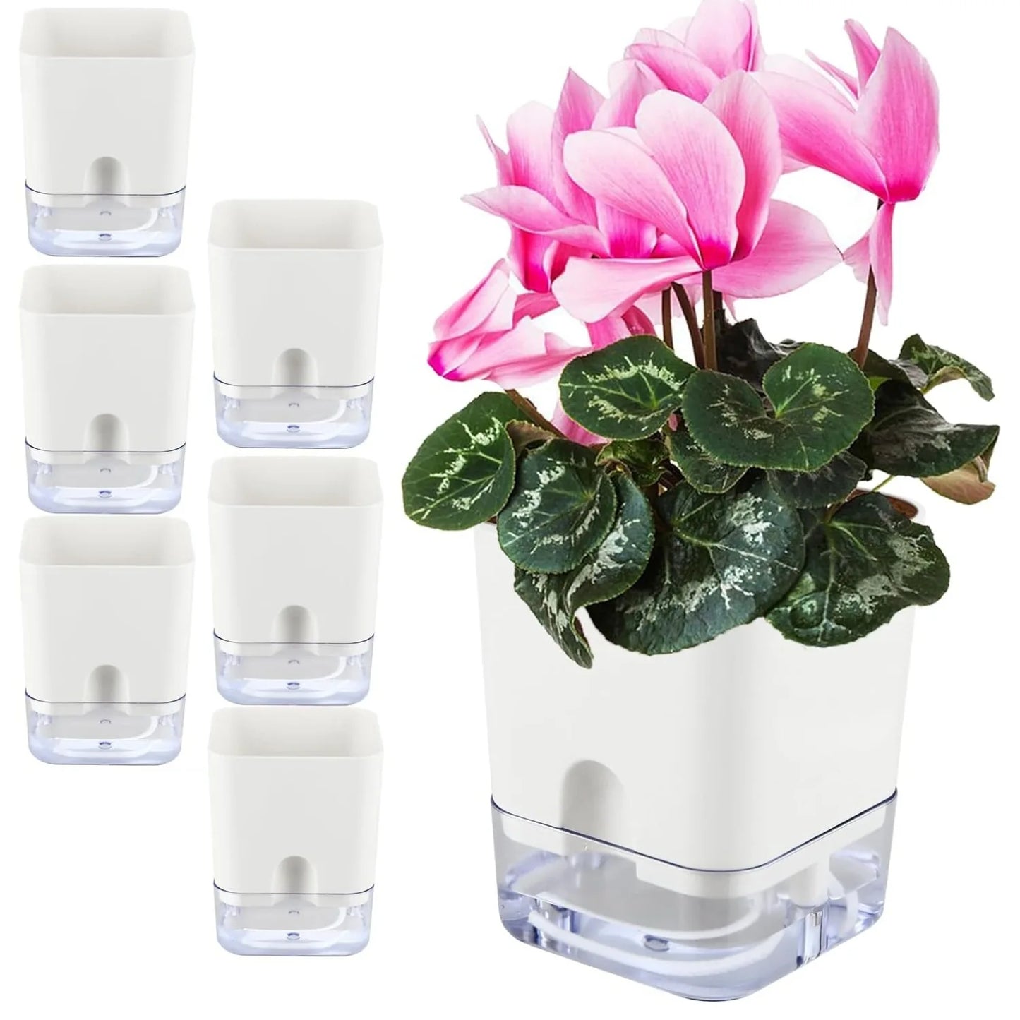 Self Watering Plant Pot